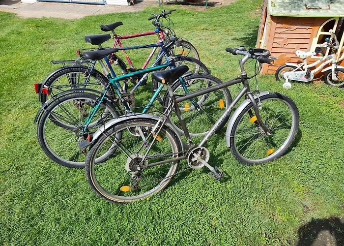 Leda Vendeghaz * 鲍洛通费尼韦什