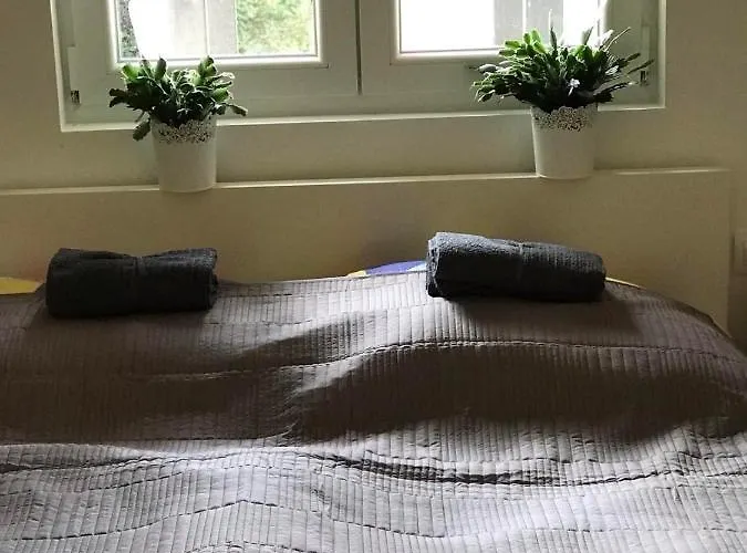 Leda Vendeghaz 公寓 *