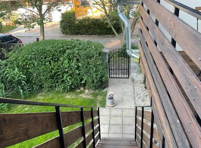 Leda Vendeghaz * 鲍洛通费尼韦什