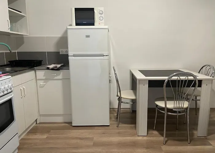 Leda Vendeghaz * 鲍洛通费尼韦什