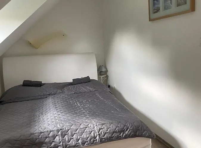 Leda Vendeghaz 鲍洛通费尼韦什