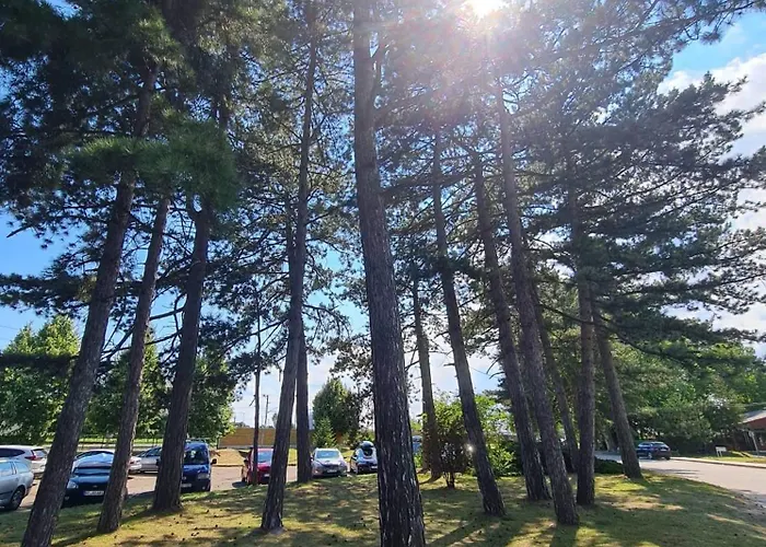 公寓 Leda Vendeghaz *