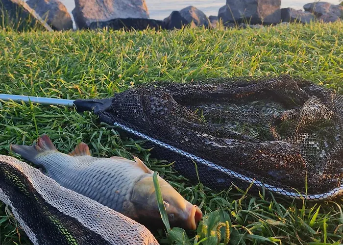 Leda Vendeghaz 公寓 *